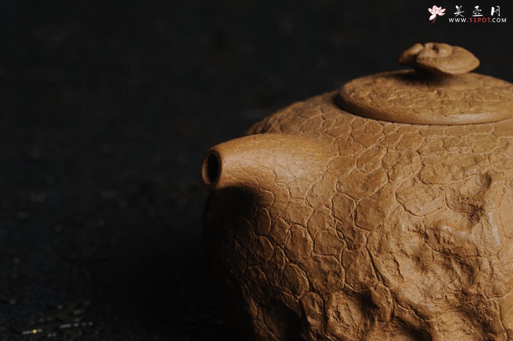 紫砂壶图片：美壶特惠 进步明显全手工黄金段泥灵芝供春壶 龚春 肌理丰富 - 美壶网