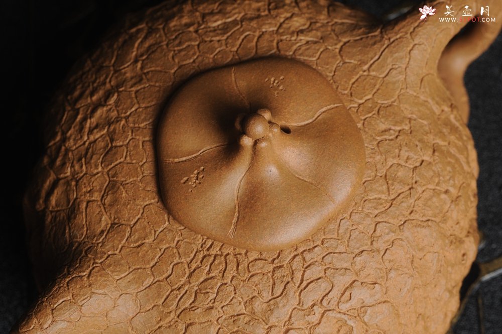 紫砂壶图片：美壶特惠 进步明显优质黄金段全手工龚春 供春 异型盖 难度大 肌理丰富 - 美壶网