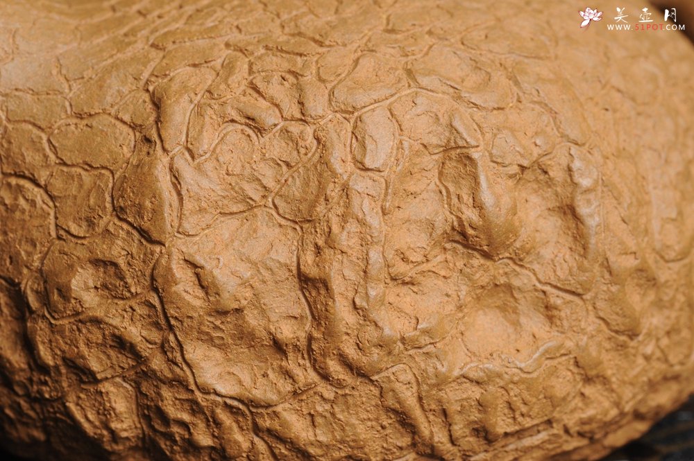 紫砂壶图片：美壶特惠 进步明显优质黄金段全手工龚春 供春 异型盖 难度大 肌理丰富 - 美壶网