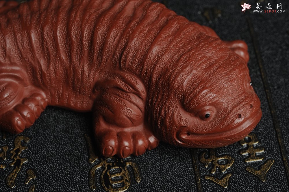 紫砂壶图片：美宠特惠 回馈壶友 精致性价比大红袍朱泥娃娃鱼茶宠 憨厚可爱 长12.5cm高2.5cm左右 - 美壶网