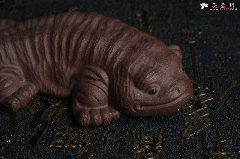 紫砂壶图片：美宠特惠 回馈壶友 精致性价比紫泥娃娃鱼茶宠 憨厚可爱长13.5cm高2.8cm左右 - 美壶网