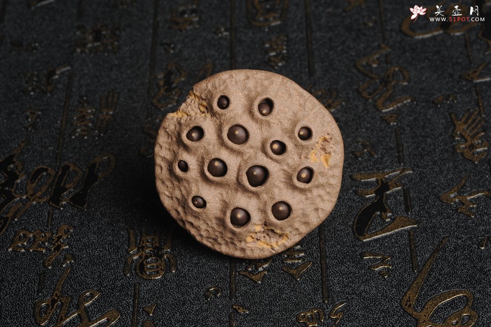 紫砂壶图片：美宠特惠 回馈壶友 精致性价比老段泥莲蓬茶宠直径5.5cm长度5.5cm左右 - 美壶网