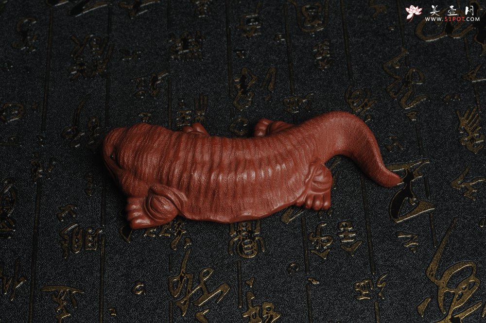 紫砂壶图片：美宠特惠 回馈壶友 精致性价比大红袍朱泥娃娃鱼茶宠 憨厚可爱 长12.5cm高2.5cm左右 - 美壶网