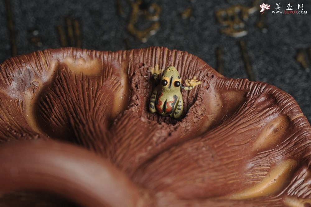 紫砂壶图片：美宠特惠 回馈壶友 精致莲蓬青蛙茶宠 肌理丰富 荷塘情趣 - 美壶网