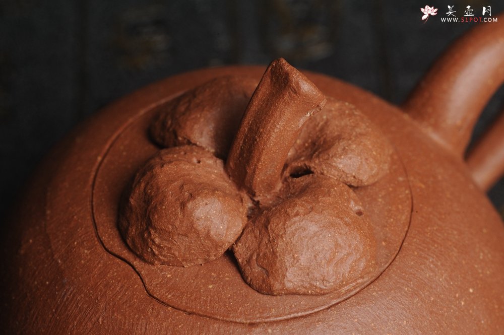 紫砂壶图片：美壶特惠 精致卡盖全手工油润降坡泥仿生小花货 山竹 - 美壶网