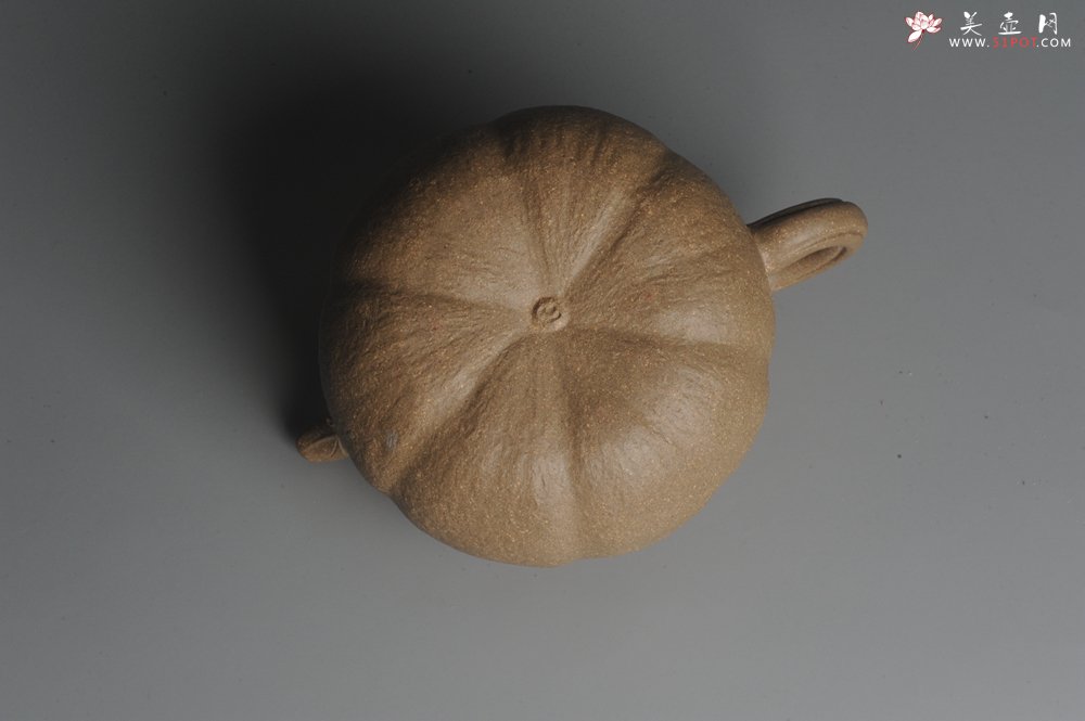 紫砂壶图片：美壶特惠 精致卡盖全手工老青段仿生小叶歪瓜 难度大 - 美壶网