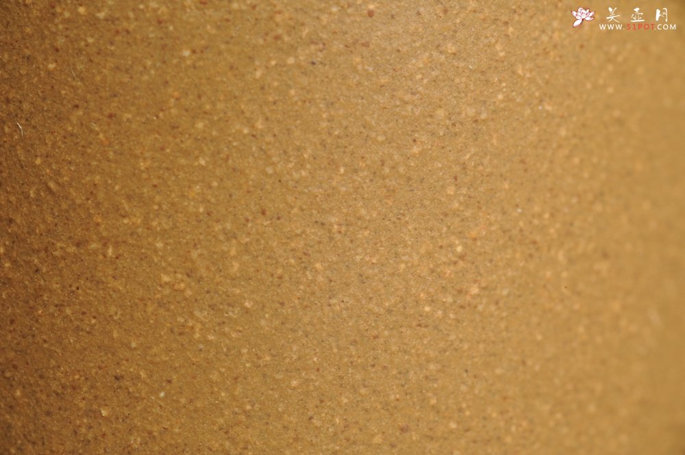 紫砂壶图片：美杯特惠 精品好泥好工好刻雅致厚实品茗杯 缸杯 莲蓬禅心杯 - 美壶网