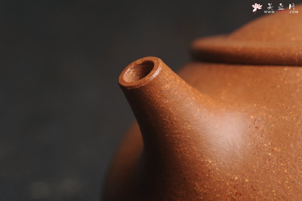 紫砂壶图片：潜力股周小培全手工演绎精品五彩段泥景舟石瓢 清茗堂助工文气装饰君子不老松 延年益寿 - 美壶网