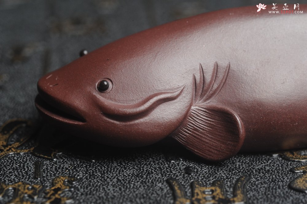 紫砂壶图片：美宠特惠 年年有余鱼 神态细腻 做工灰常精致 手工茶宠摆件长：12.5cm左右，最宽度为：3.7cm - 美壶网