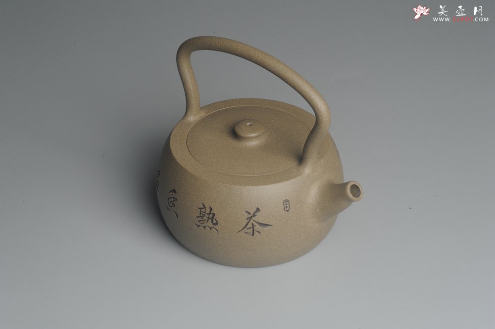 紫砂壶图片：美壶特惠 老青段 助工精工怀古提梁 装饰花鸟 - 美壶网