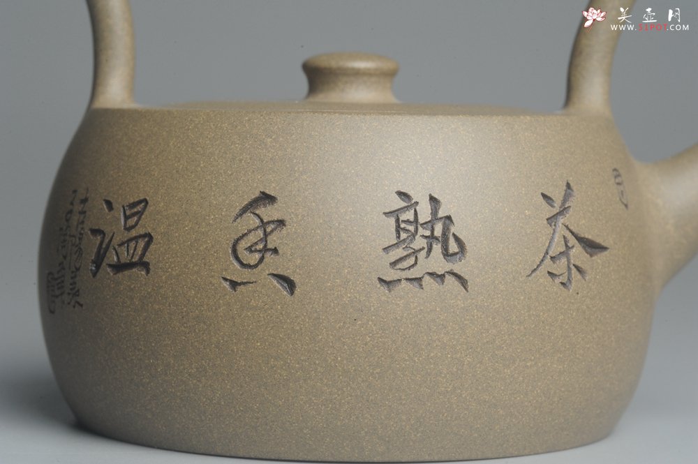 紫砂壶图片：美壶特惠 老青段 助工精工怀古提梁 装饰花鸟 - 美壶网