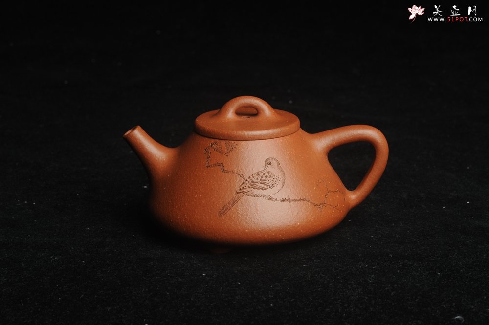 紫砂壶图片：美壶特惠 超精致特好降坡泥小品子冶石瓢 装饰枯枝鸟 特文气 - 美壶网