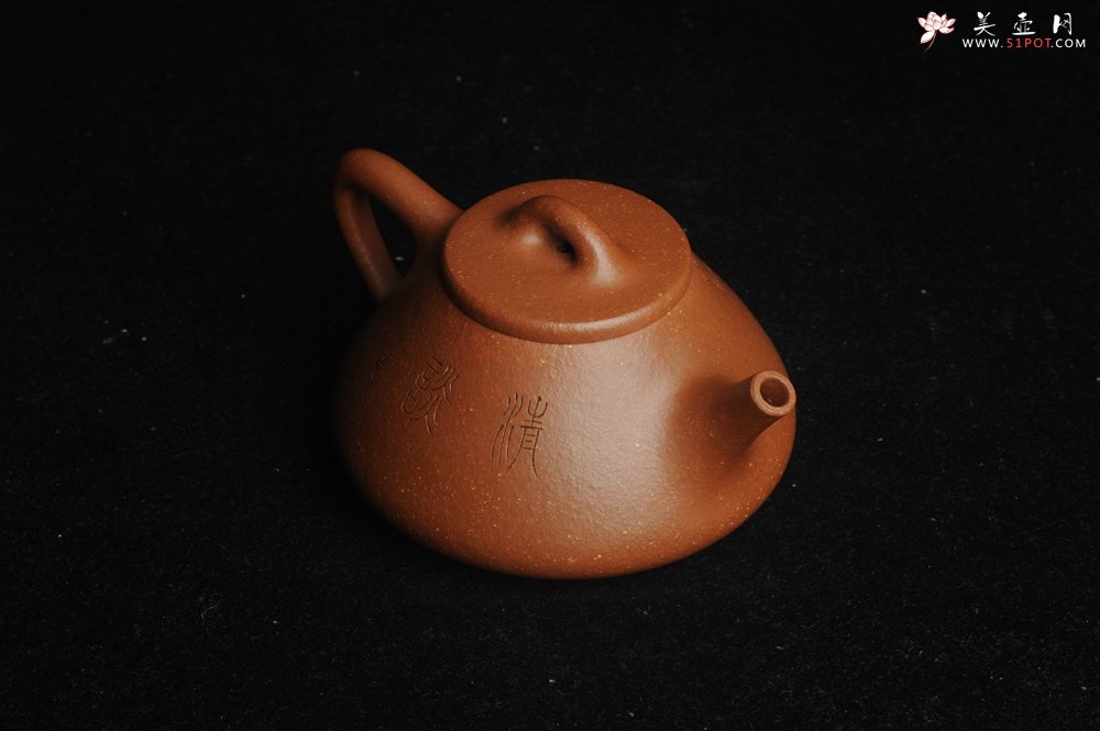 紫砂壶图片：美壶特惠 超精致特好降坡泥小品子冶石瓢 装饰枯枝鸟 特文气 - 美壶网