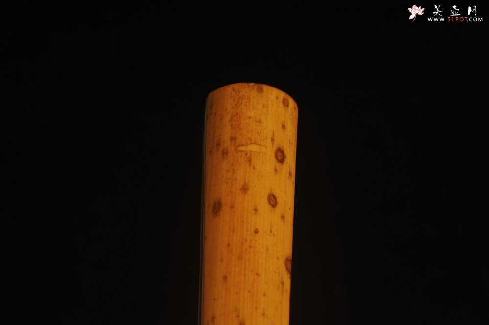 紫砂壶图片：自玩收藏级30年老凤眼扇骨 满天星老凤眼 9.5寸18方挑灯方 排口2.0少见 名家释普通法师书法 - 美壶网