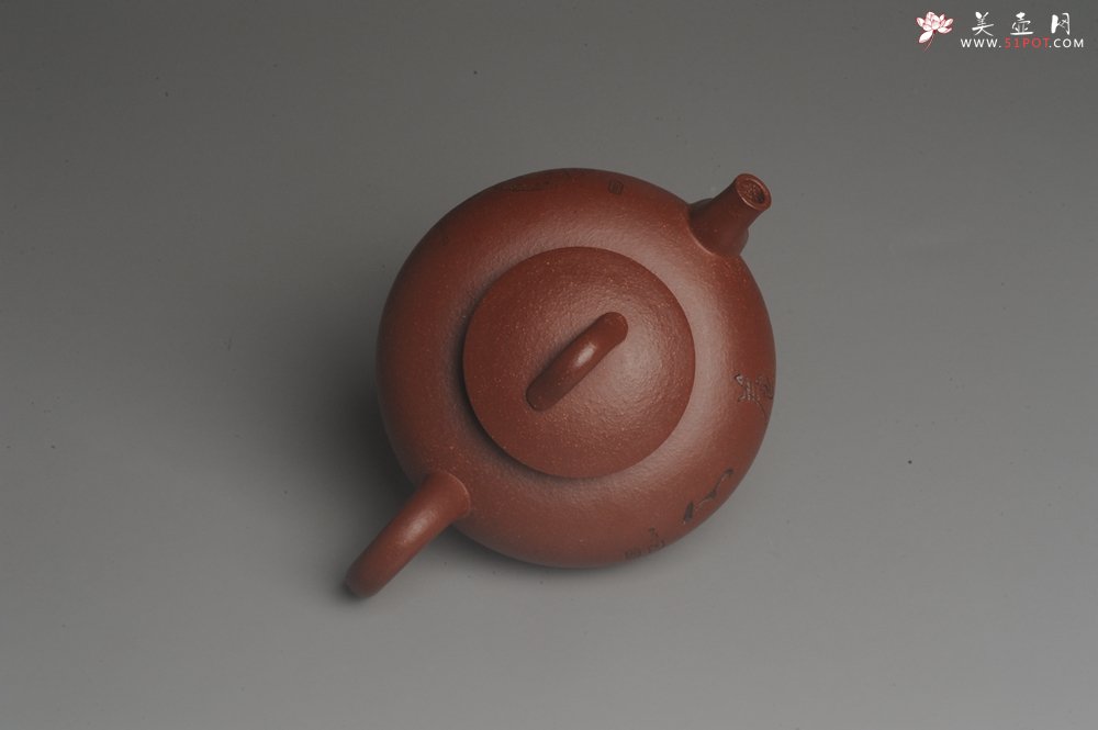 紫砂壶图片：美壶特惠 助工精工降坡泥陶瓮壶 蜗牛特文气 - 美壶网