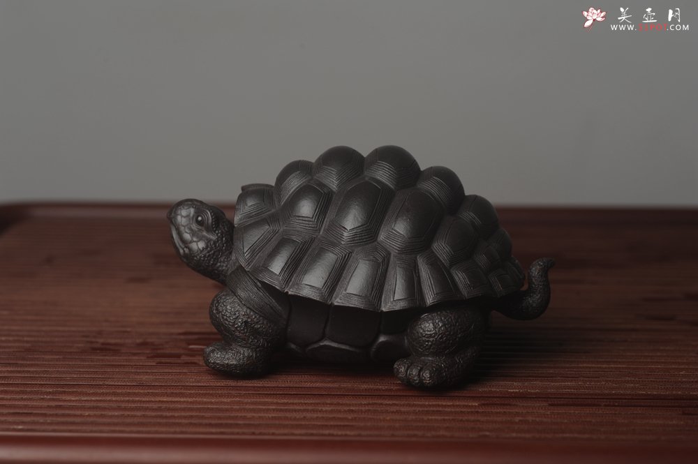 紫砂壶图片：美宠中秋特惠 精致黑料忍者寿龟 长14cm宽9.5cm高7cm - 美壶网
