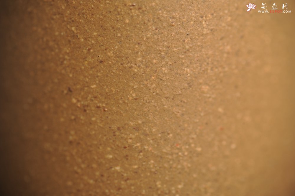 紫砂壶图片：美杯国庆特惠 精品好泥好工好刻雅致西施浣纱主人杯 茶人醉爱 - 美壶网