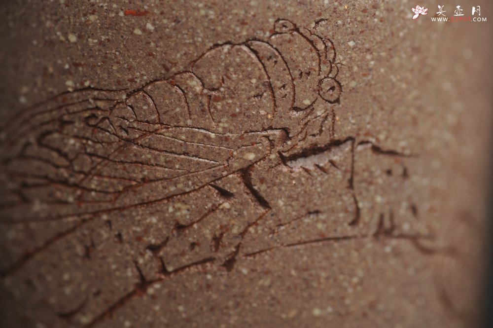 紫砂壶图片：美杯国庆特惠 精品好泥好工好刻雅致特厚实禅心主人杯 茶人醉爱 - 美壶网