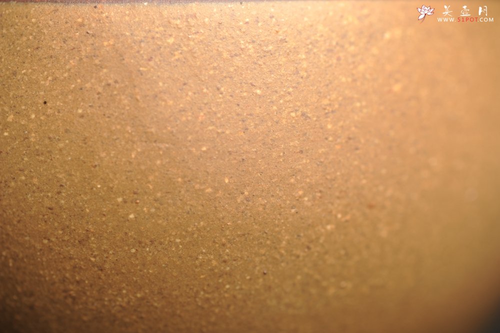 紫砂壶图片：美杯国庆特惠 精品好泥好工雅致特厚实主人杯 茶人醉爱 - 美壶网