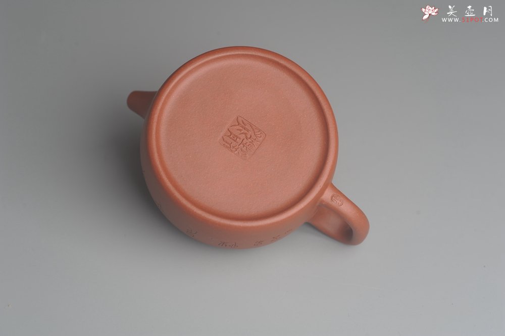 紫砂壶图片：美壶特惠 优质清水泥精致枯枝鸟德中壶 矿物质丰富 茶人醉爱 - 美壶网