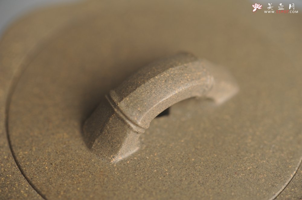 紫砂壶图片：美壶特惠 精致青段十三竹壶 茶人醉爱 - 美壶网