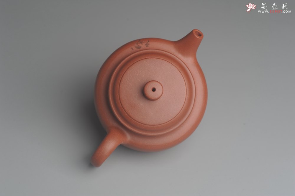 紫砂壶图片：美壶特惠 优质清水泥精致枯枝鸟德中壶 矿物质丰富 茶人醉爱 - 美壶网