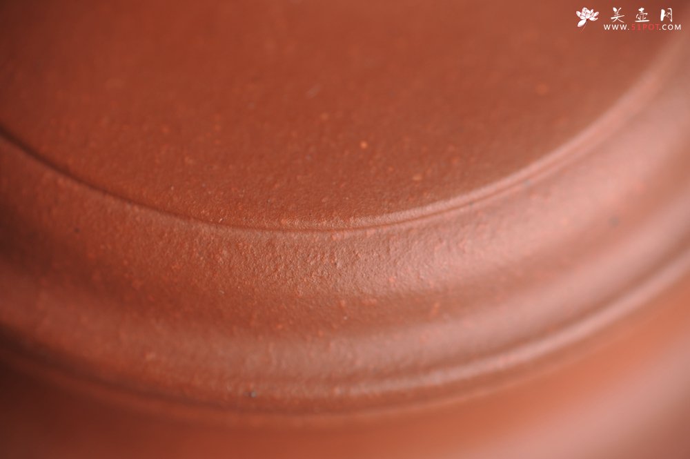 紫砂壶图片：美壶特惠 优质清水泥精致枯枝鸟德中壶 矿物质丰富 茶人醉爱 - 美壶网