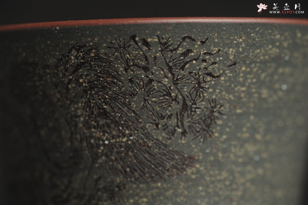 紫砂壶图片：美杯国庆特惠 精品好泥好工好刻雅致特厚实松鼠主人杯二式 - 美壶网