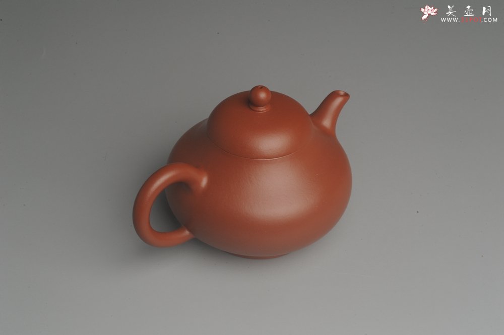 紫砂壶图片：美壶双11福利特惠回馈 精致朱泥茗香小壶 仅一只 - 美壶网