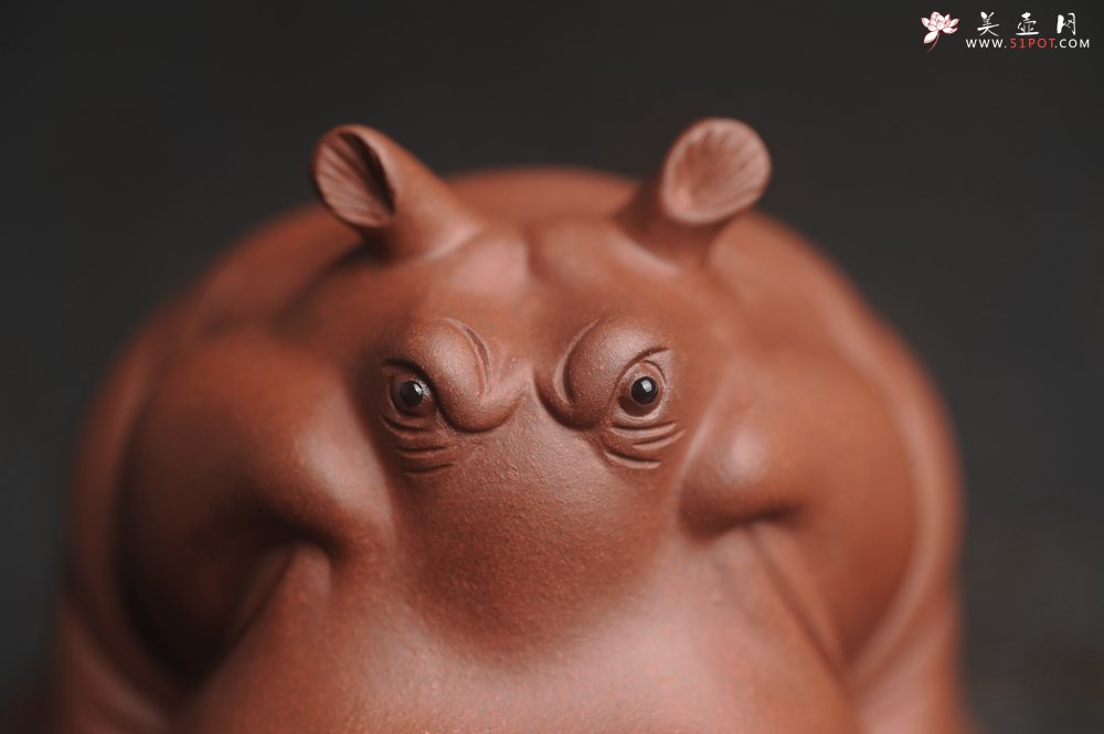 紫砂壶图片：美宠特惠 精品优质紫泥财大气粗 河马 紫砂茶宠摆件 长11cm宽8cm高8cm - 美壶网