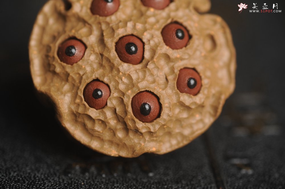 紫砂壶图片：美宠特惠 精致迷你紫砂小莲蓬茶宠摆件 莲子可动有趣 直径3.8cm高2.8cm左右 - 美壶网