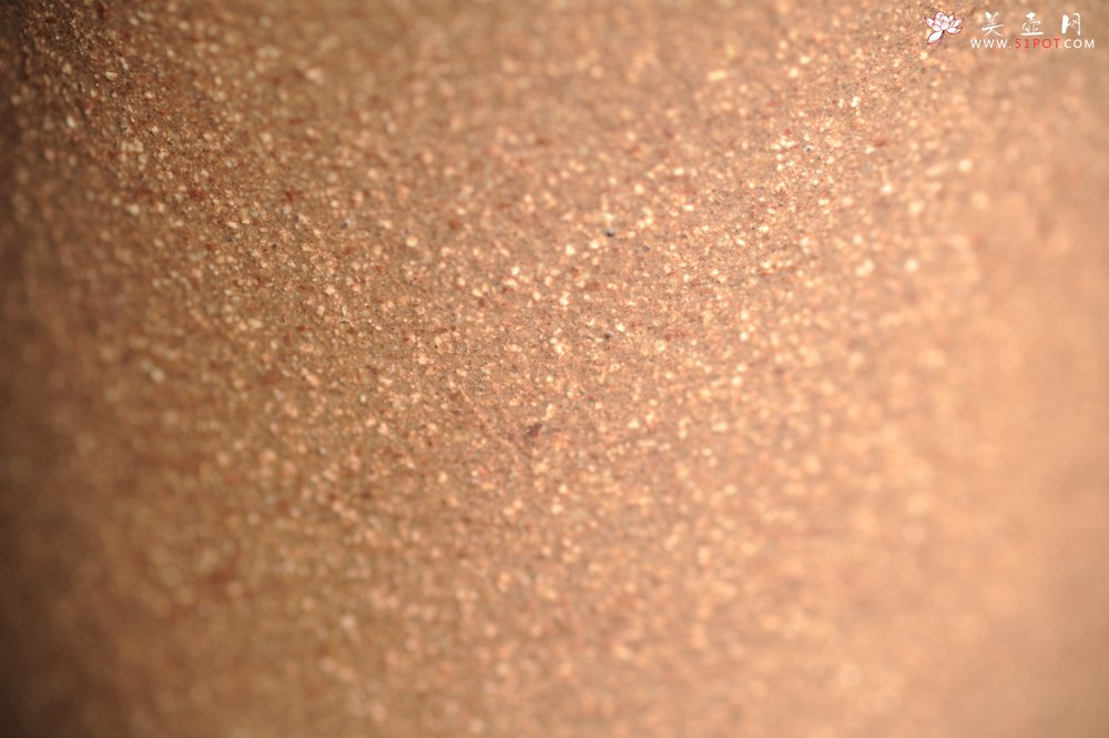 紫砂壶图片：美杯特惠 精致玉兰花文气主人杯 茶人醉爱 - 美壶网