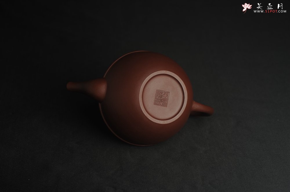 紫砂壶图片：美壶特惠 精致紫泥凤鸣壶 茶人醉爱 - 美壶网