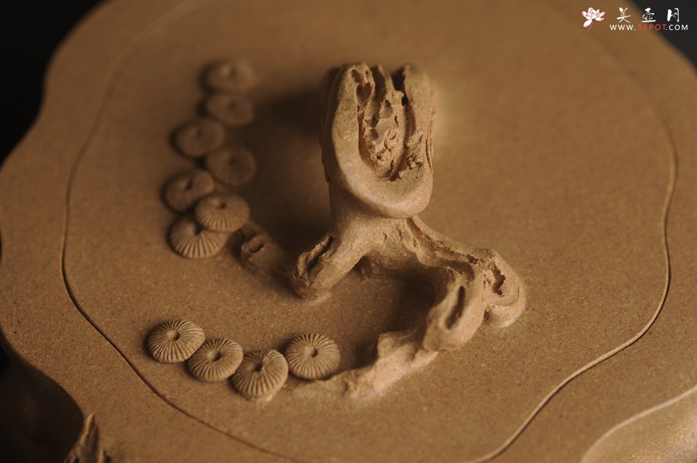 紫砂壶图片：潜力股唐老师 全手工精致老段松桩壶 肌理丰富生动 期待与您结缘 - 美壶网