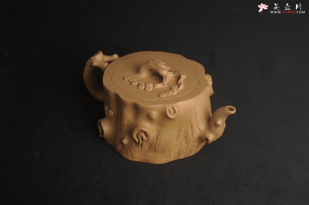 紫砂壶图片：潜力股唐老师 全手工精致老段松桩壶 肌理丰富生动 期待与您结缘 - 美壶网
