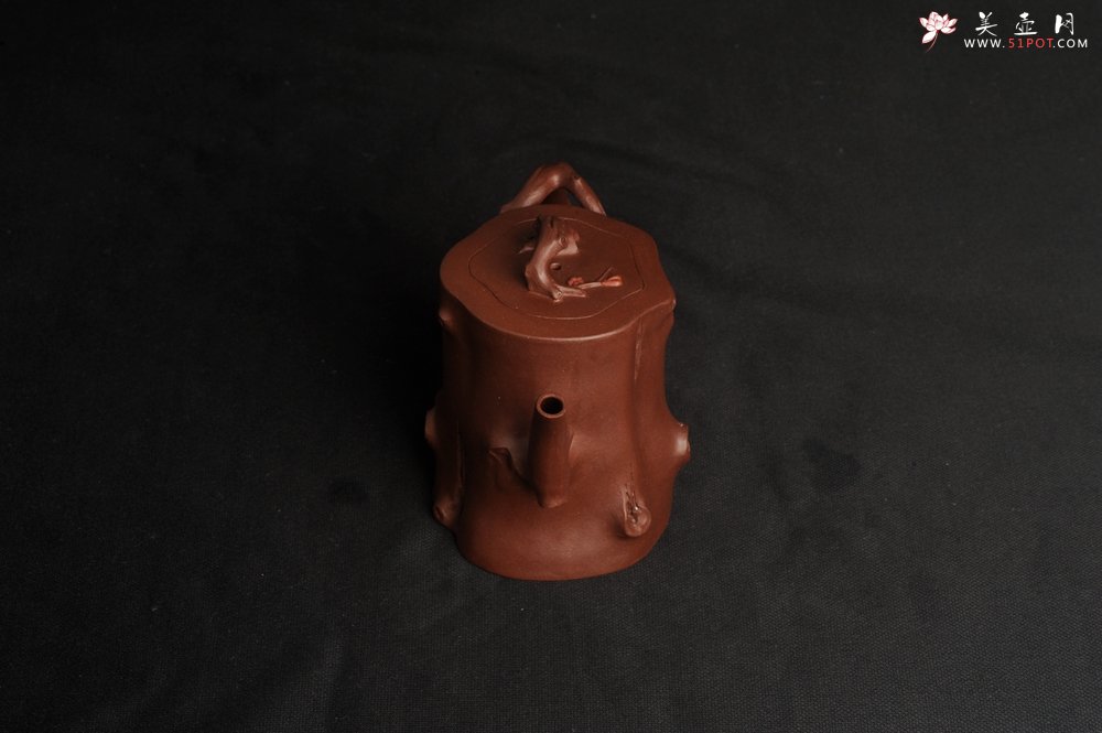 紫砂壶图片：潜力股赵老师 全手工秀雅梅桩 肌理自然生动 - 美壶网