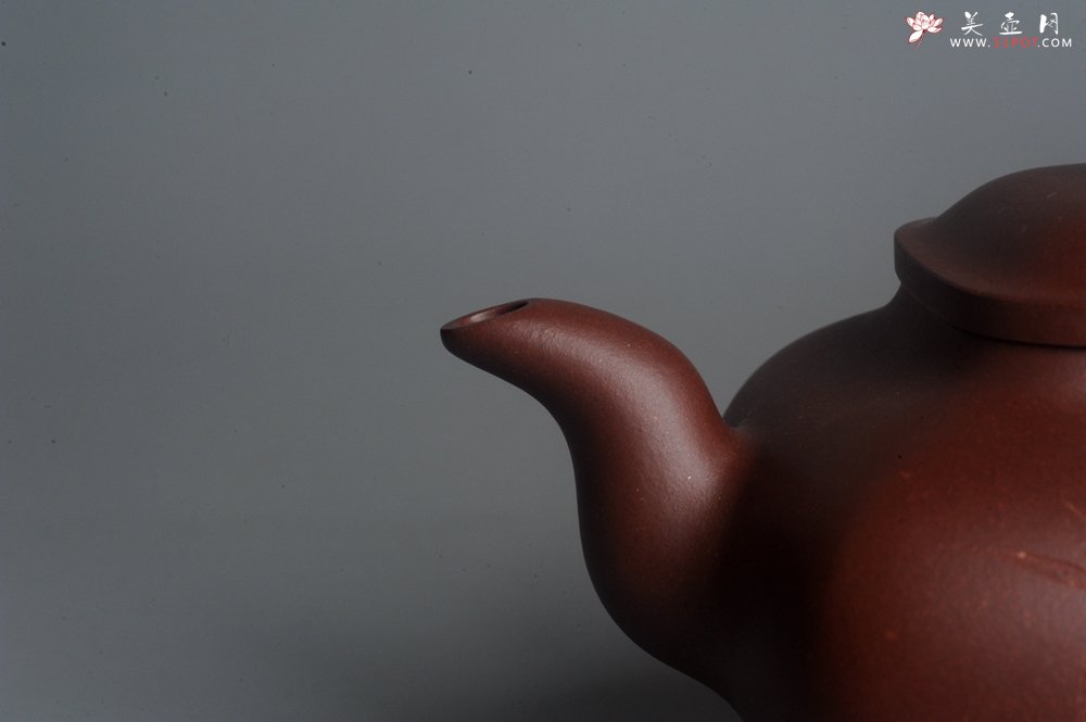 紫砂壶图片：实力派张海艳 全手工特好底槽清传炉壶 雪芽禅心舒峨眉 好壶期待与亲结缘 - 美壶网