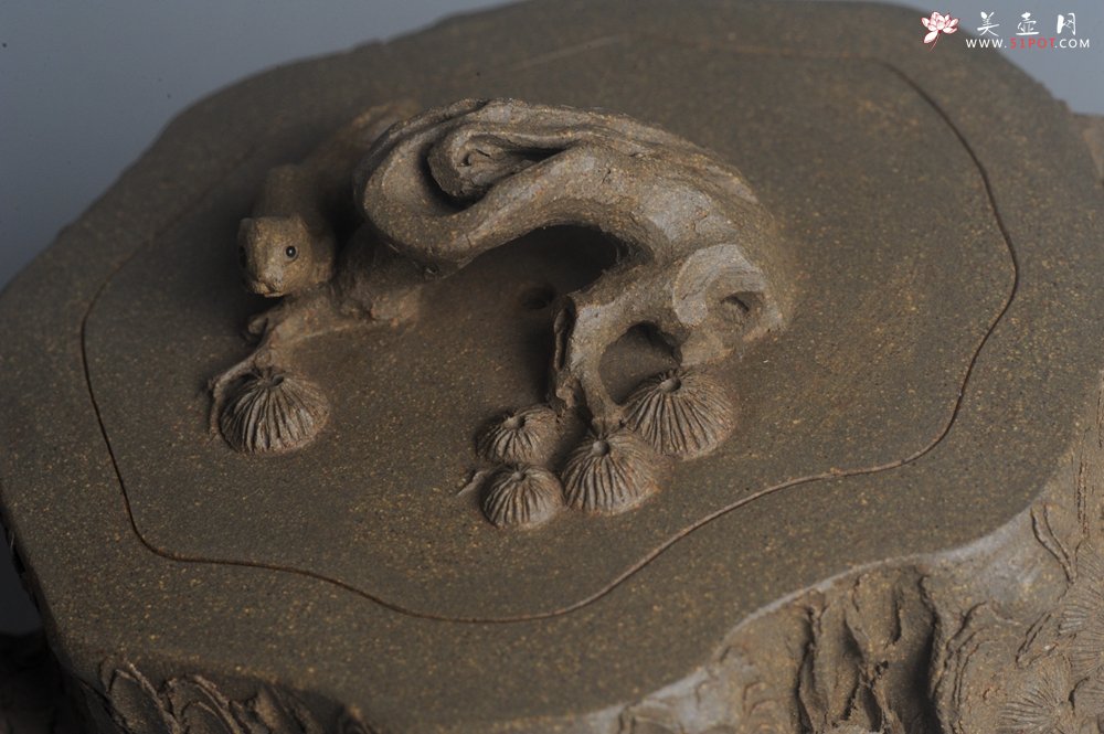 紫砂壶图片：潜力股赵老师 全手工青段松桩壶 松鼠跃然壶盖特有趣 肌理丰富 期待与您结缘 - 美壶网