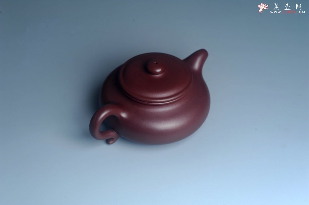 紫砂壶图片：潜力股周小培老师 4号井深井红皮龙 超精致全手工仿古壶 做工不输万元同类作品 - 美壶网