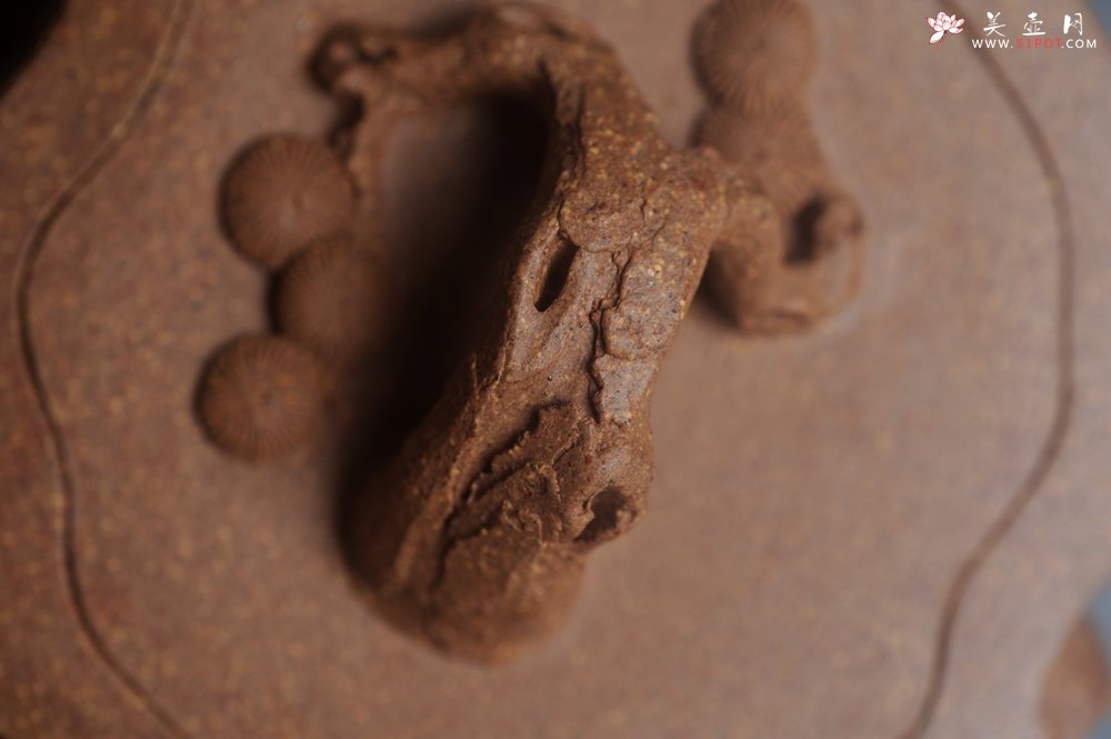 紫砂壶图片：潜力股唐老师 全手工精致老段松桩壶 肌理丰富生动 期待与您结缘 - 美壶网