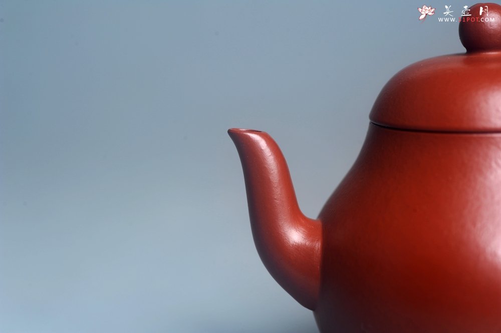 紫砂壶图片：美壶特惠 特好朱泥精致小君德壶 茶人醉爱 - 美壶网