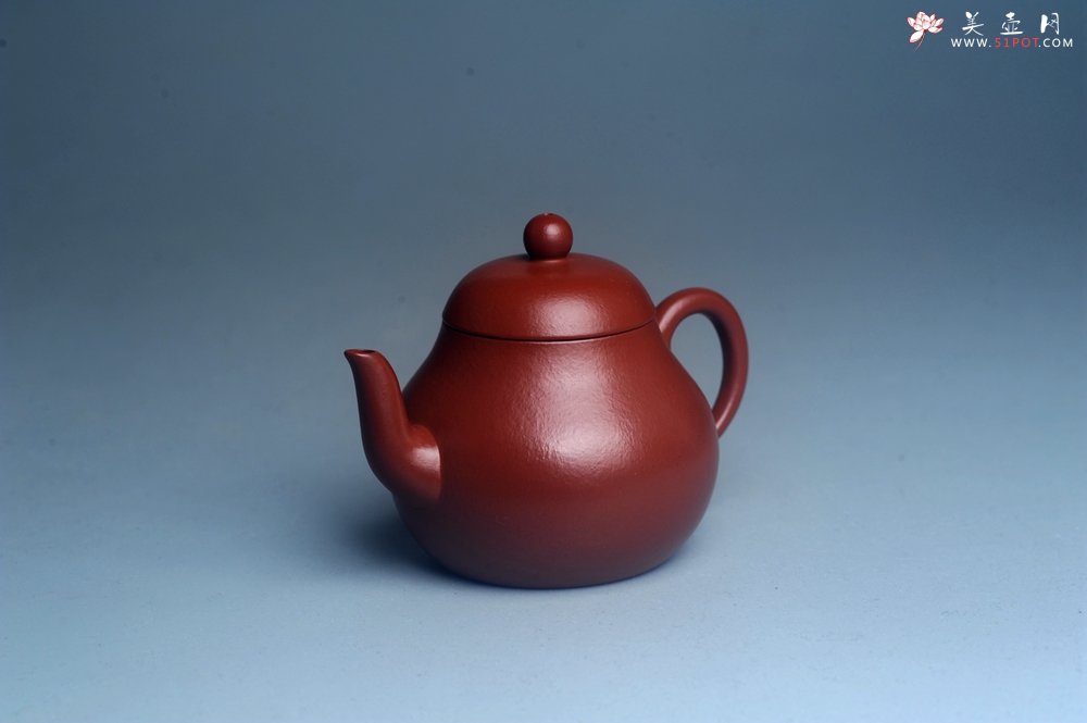 紫砂壶图片：美壶特惠 特好朱泥精致小君德壶 茶人醉爱 - 美壶网