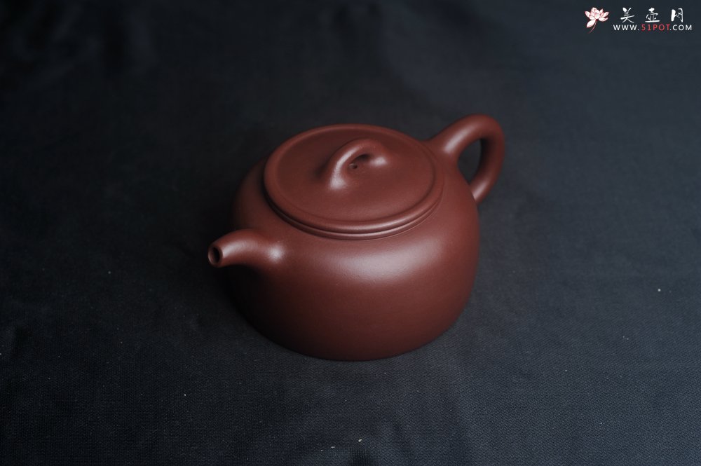 紫砂壶图片：潜力股周小培老师 4号井深井红皮龙 全手工过桥井栏壶 - 美壶网