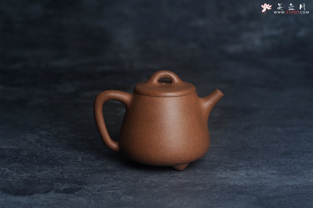 紫砂壶图片：美壶特惠 潜力股王静然 精致老段泥高石瓢 泥绘金蟾 特文气 - 美壶网