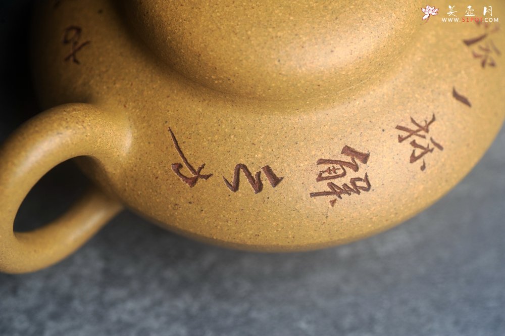 紫砂壶图片：美壶特惠 优质段泥合欢壶 特文气 - 美壶网