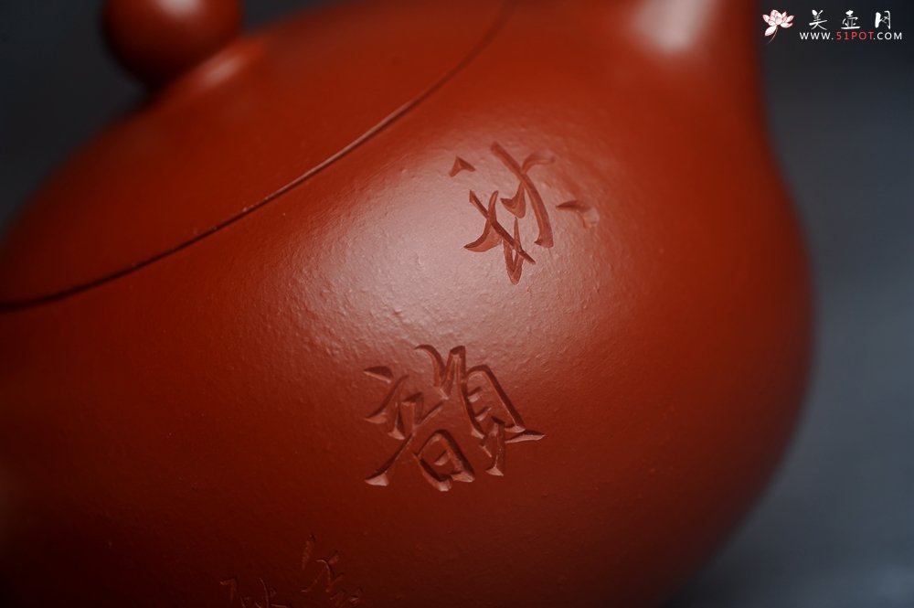 紫砂壶图片：美壶特惠紫砂壶优质朱泥扁西施壶 装饰松针松鼠 秋韵图 - 美壶网