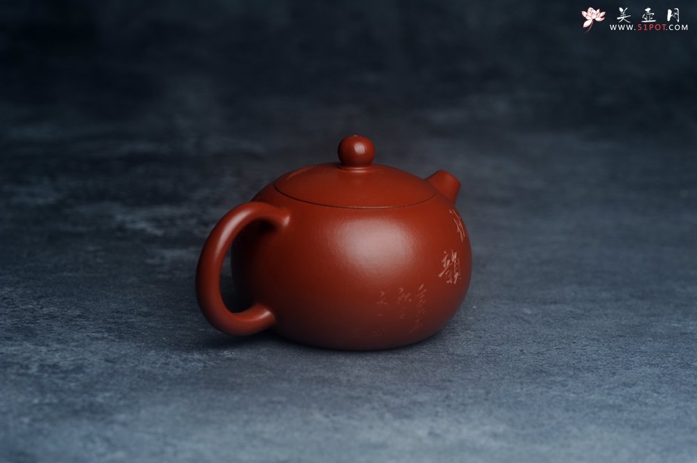 紫砂壶图片：美壶特惠紫砂壶优质朱泥扁西施壶 装饰松针松鼠 秋韵图 - 美壶网