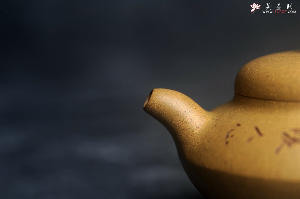 紫砂壶图片：美壶特惠 优质段泥合欢壶 特文气 - 美壶网