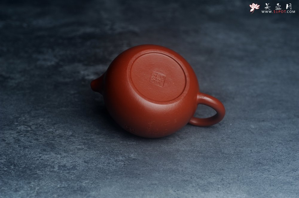 紫砂壶图片：美壶特惠紫砂壶优质朱泥扁西施壶 装饰松针松鼠 秋韵图 - 美壶网