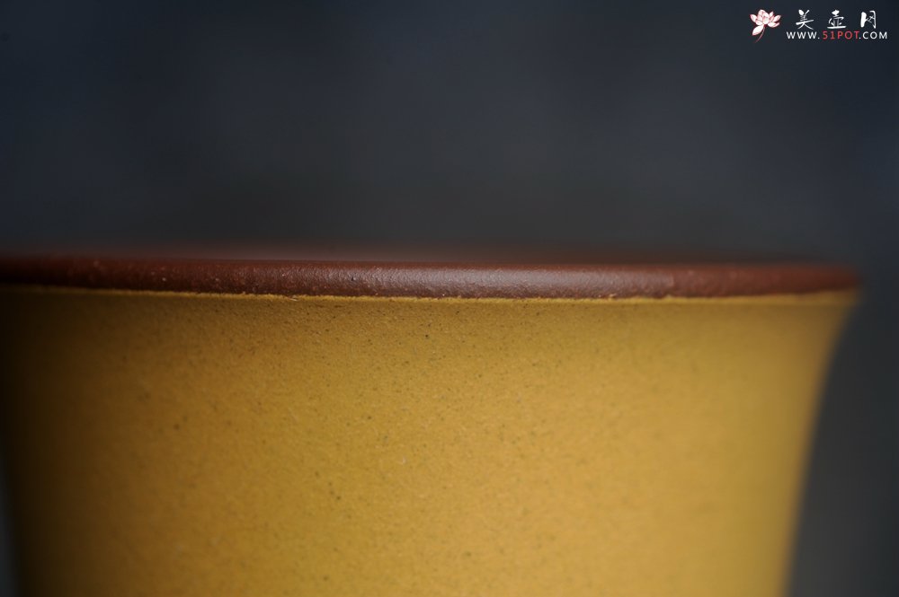 紫砂壶图片：美美杯特惠 精致花鸟紫砂杯 紫泥粉黄金段泥主人杯 茶杯 特文气 - 美壶网